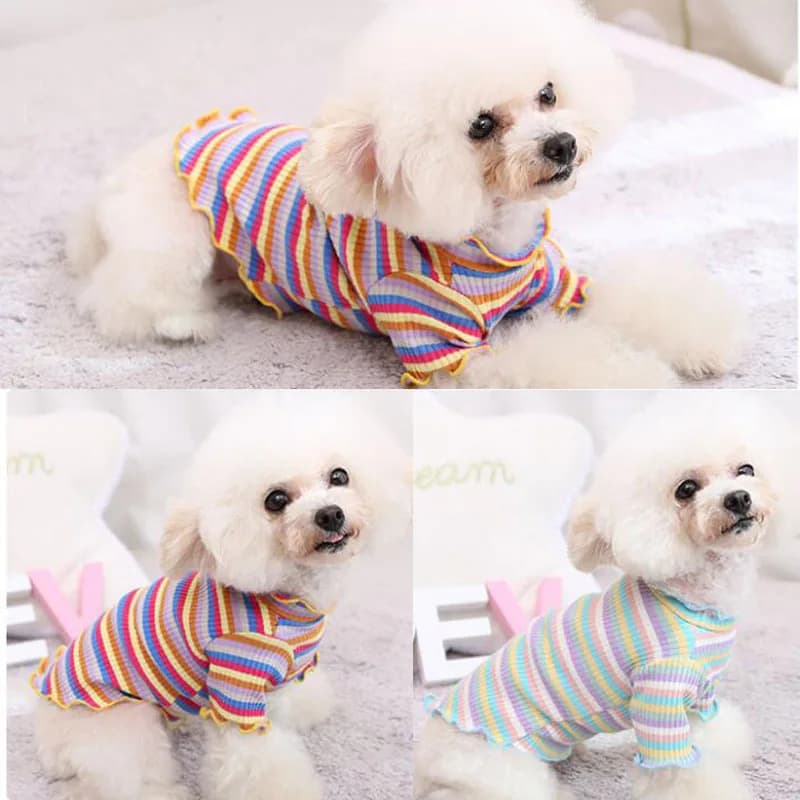 Maglietta con Cappuccio a Righe Arcobaleno per Cani di Piccola Taglia, Costume per Bassotto e Barboncino, Felpa per Cuccioli e Gattini XXL