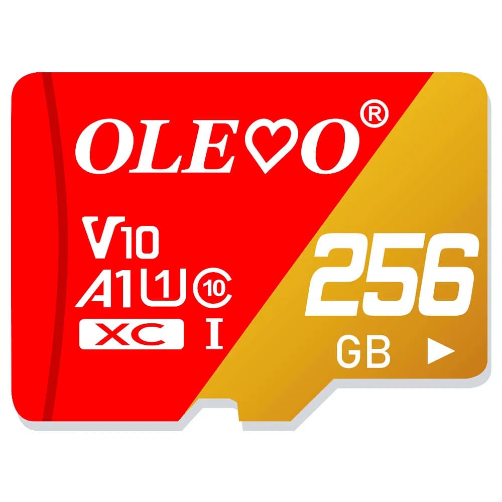 Scheda di memoria originale classe 10 EVO EVO Plus 256GB 128GB 64GB 16GB Mini SD Card 32GB TF card cartao de memoria per telefono cellulare