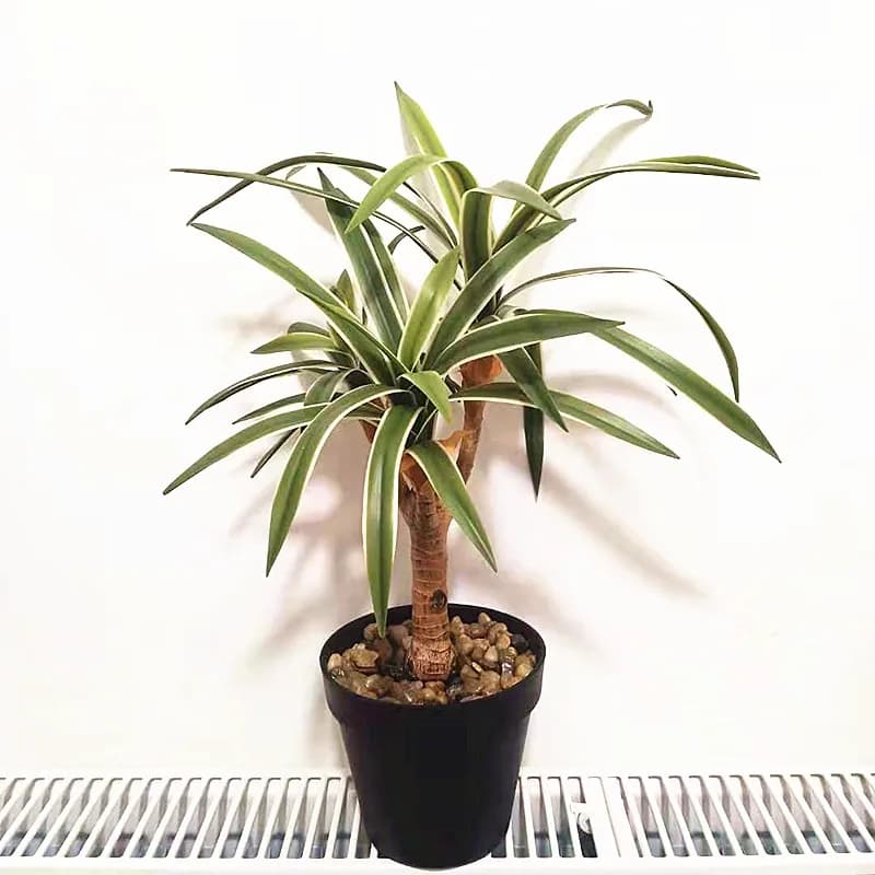 48cm 3 teste artificiale Desktop in vaso tropicale realistico piante finte plastica coperta palma Bonsai Hotel Office Home Decor