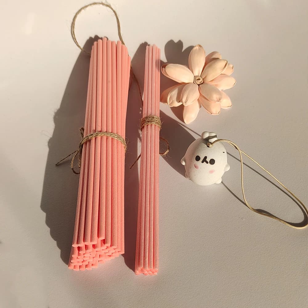 3mm/4mm 22cm Bastoni in rattan in fibra rosa Bastoni diffusori per ance di olio essenziale per deodorante per ambienti Bastoni di ricarica per fragranze domestiche