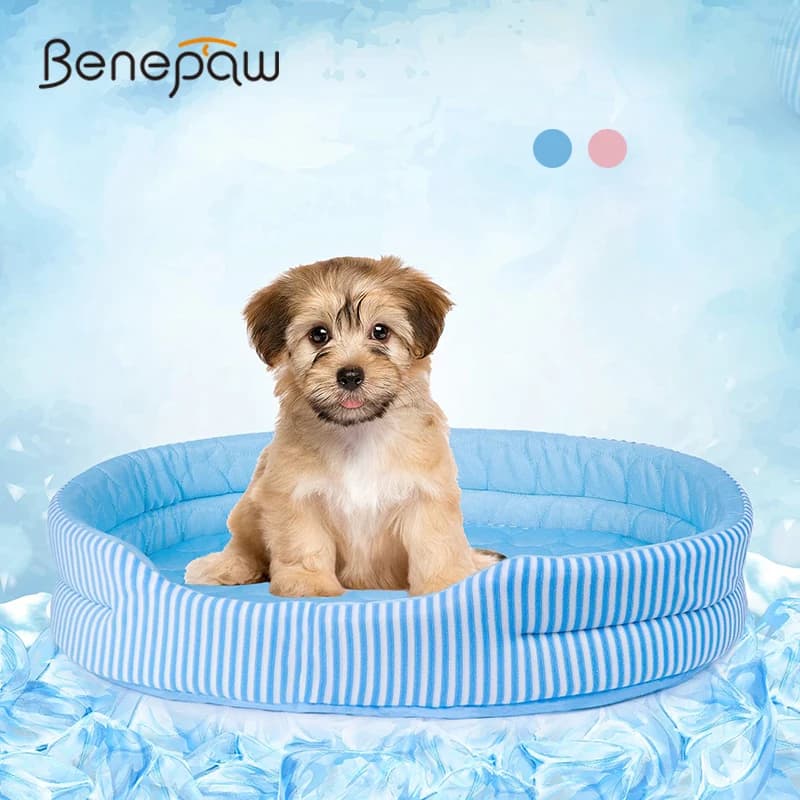 Benepaw Summer Dog Bed Ice Silk Eco-friendly tappetini di raffreddamento per animali domestici staccabili lavabili Cool Mat tress per cani di piccola taglia media