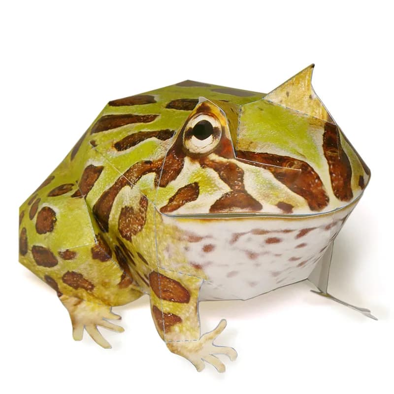 Argentine Horned Frog Paper Model Realistic Animal Mini Cute Origami Art 3D Papercraft DIY Kids Adult Handmade Craft Toys WE-049