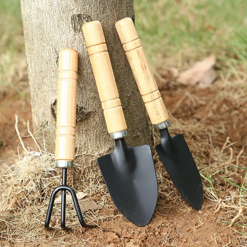 3 pcs/set Mini Pala Rastrello Set Manic Wood Head Plate for Flowers Plants in Mini Jar Garden Deseminators