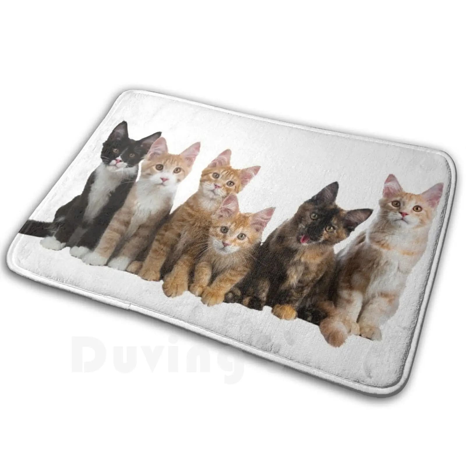 Dream Team Tappeto Tappetino Tappeto Cuscino Morbido Antiscivolo Gatti Persiano Domestico Selvaggio Colorato Nero Bianco Giallo su un albero