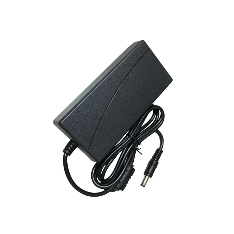 Alimentatore 52V 2.5A 3A AC 100-240V, Caricatore da Muro DC 5.5mm con Spina EU/AU/UK/US per Telecamere di Sicurezza CCTV POE NVR