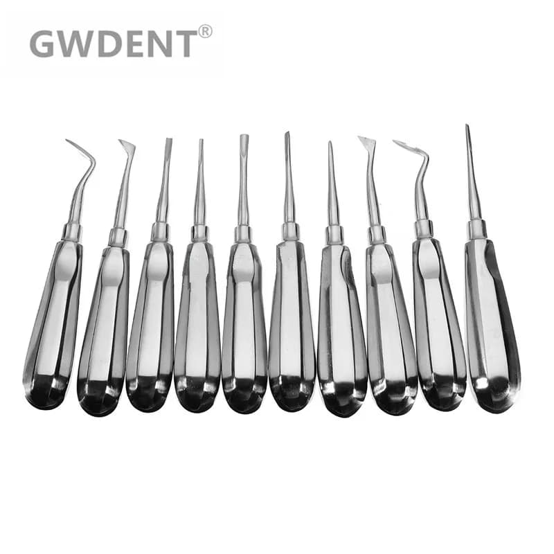 10 pieces stainless steel dental orthodontic root lift head tool pen curve dentistry tool teeth whitening device