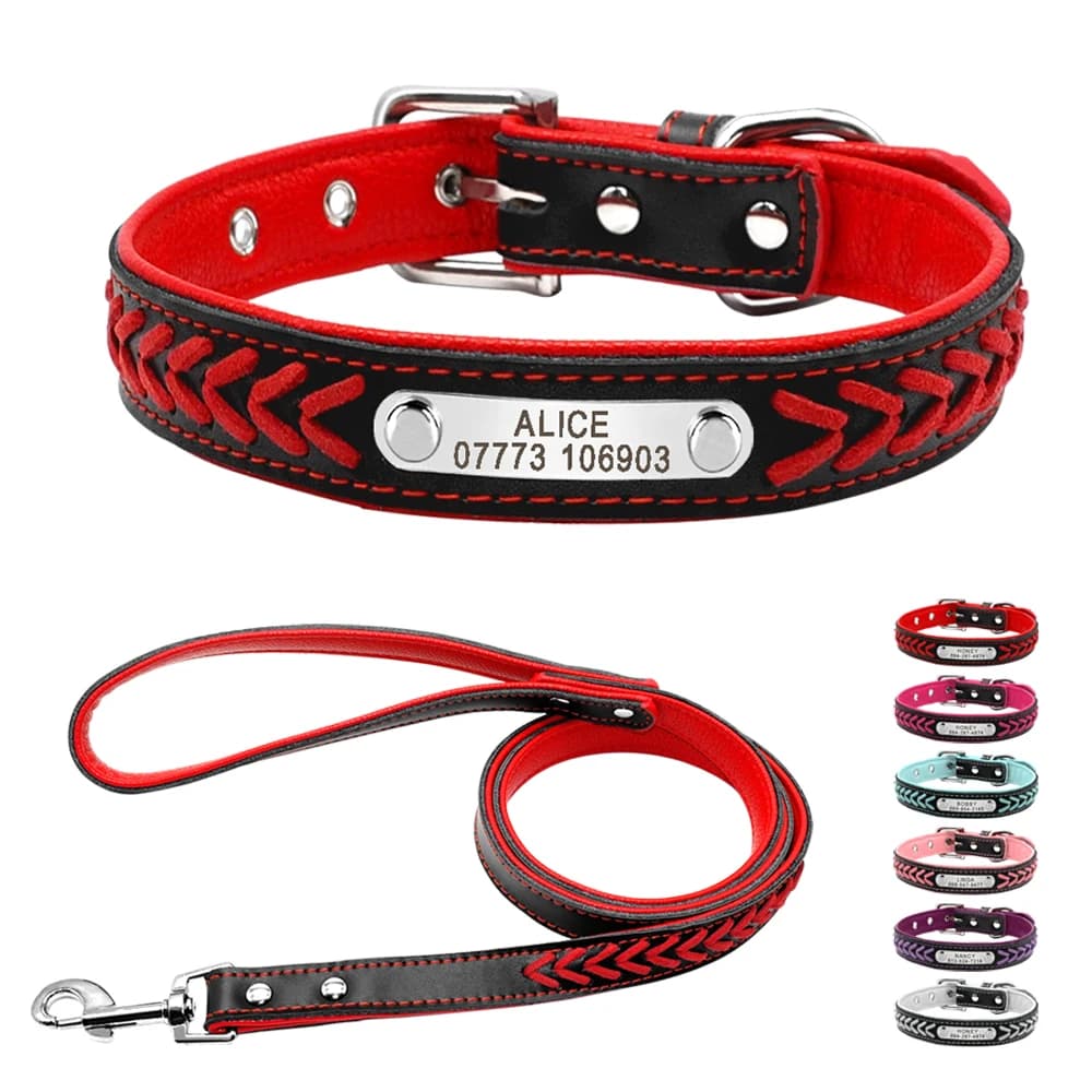 Collare per cani in pelle incisa intrecciato Collare per targhetta identificativa Persoanzled Targhetta Collare per animali personalizzato Guinzaglio da passeggio per animali domestici in pelle