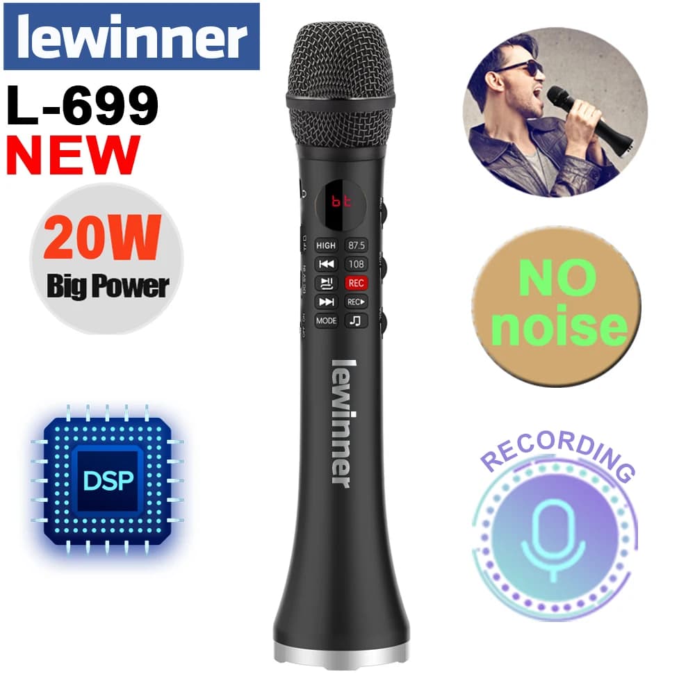 Lewinner L-699 microfono Karaoke professionale altoparlante Wireless microfono Bluetooth portatile per supporto telefonico registrazione TF play