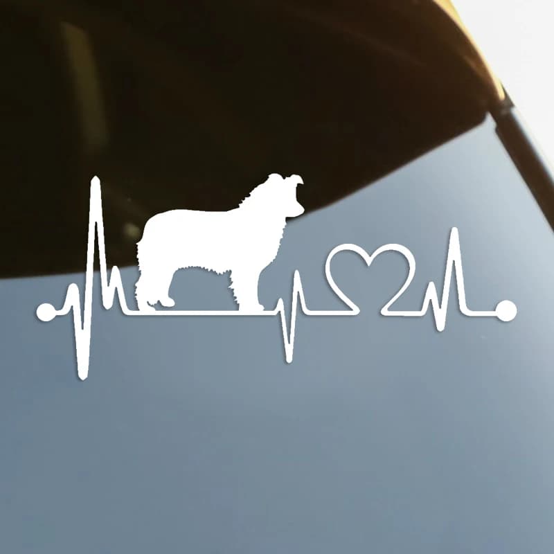 Border Collie Dog Heartbeat Lifeline Decal Car Sticker Waterproof Auto Decors on Car Body Bumper lunotto posteriore Laptop # S60331