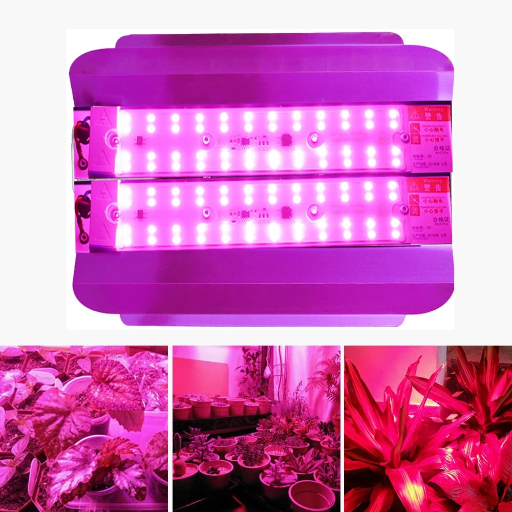LED Grow Light 50W 100W greenhouse lamp for full spectrum interior complete progressive lights for medicinal plant seeds flower vegetables