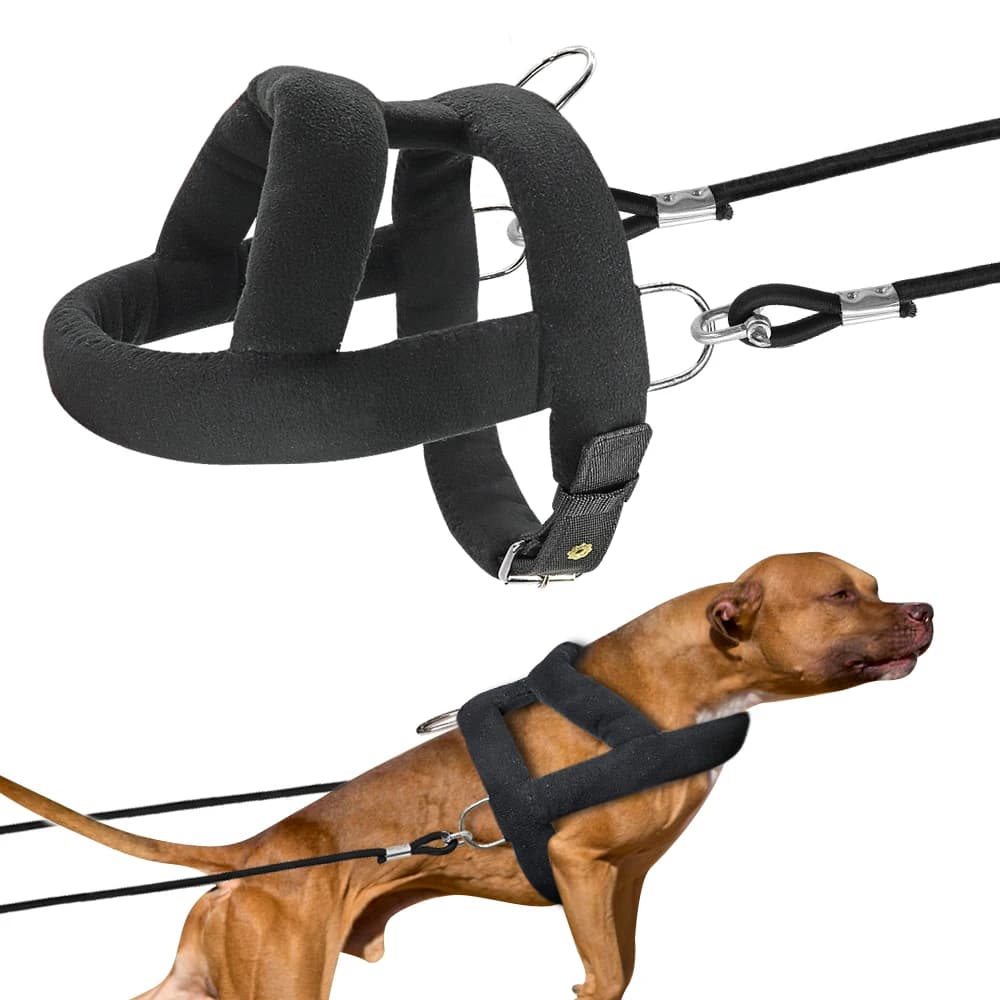 Imbracatura e guinzaglio per cani