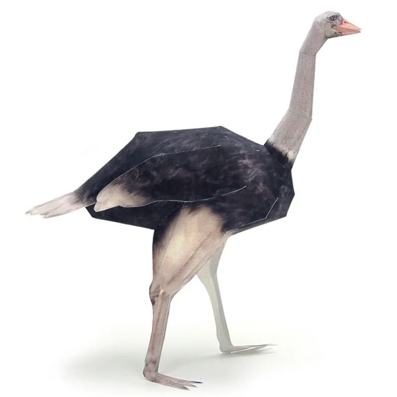 Ostrich Paper Bird Paper Model Origami Art Realistic Animal Mini Cute 3D Papercraft DIY Kids Adult Handmade Craft Toys WE-018