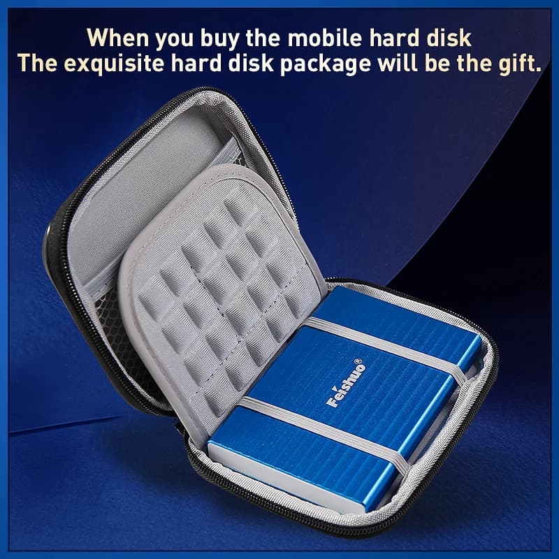 Disco rigido esterno originale Feishuo da 2.5 pollici 250G memoria USB 3.0 HDD disco rigido esterno portatile HD per Server Desktop portatile