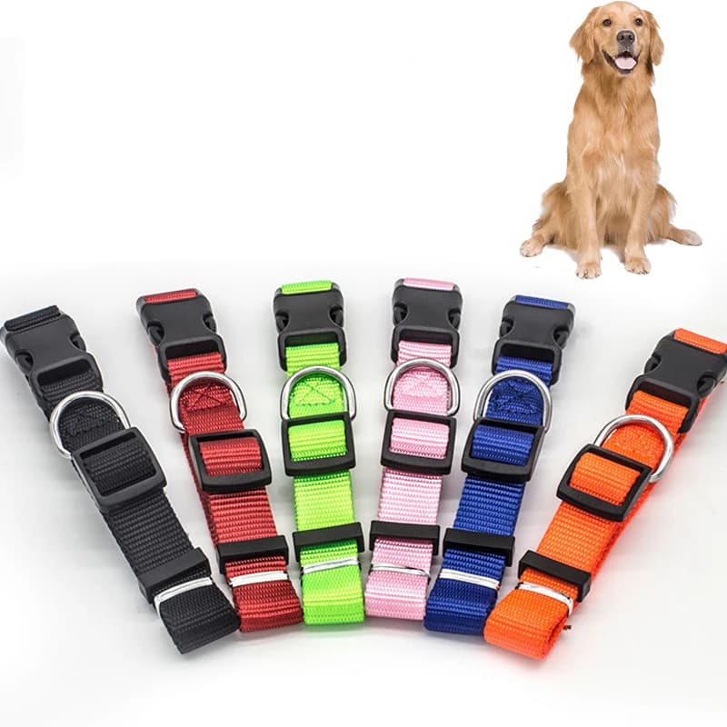Collari per cani in nylon imitazione tinta unita per gatti Camminate all'aperto Perduti Evitare accessori per animali domestici Imbracatura per cani di base multicolore XS-XL