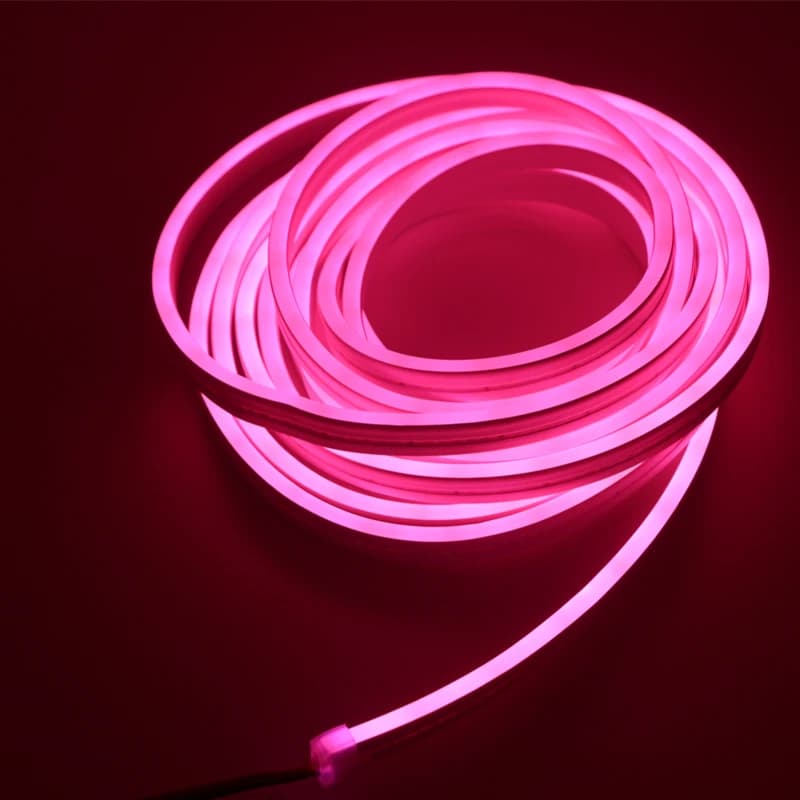 Striscia al neon DC 12V 2835 120 LED/M Home Garden Decor Striscia LED con corda a nastro flessibile bianca/blu/rosa/gialla/verde/rossa
