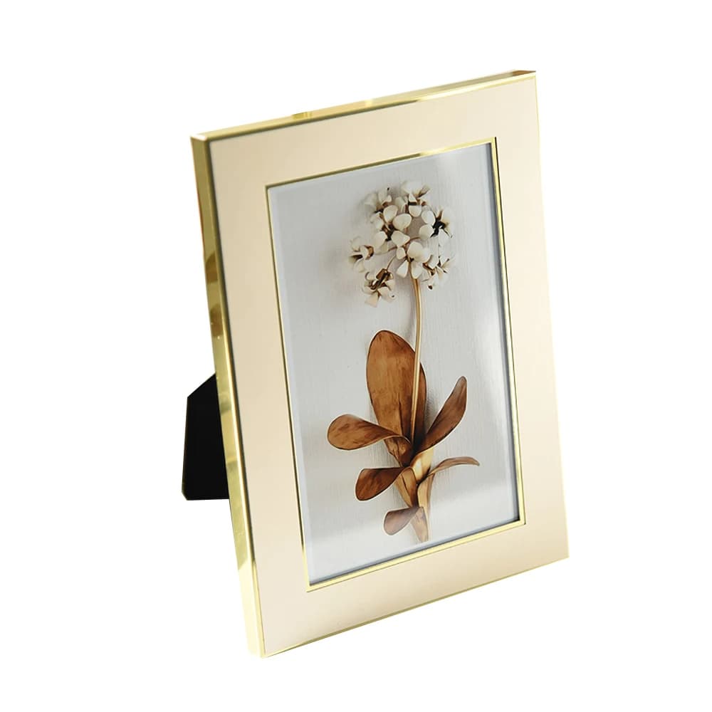 Metal Photo Frame for Home Decoration, Picture Displays, Modern Style, MPF118