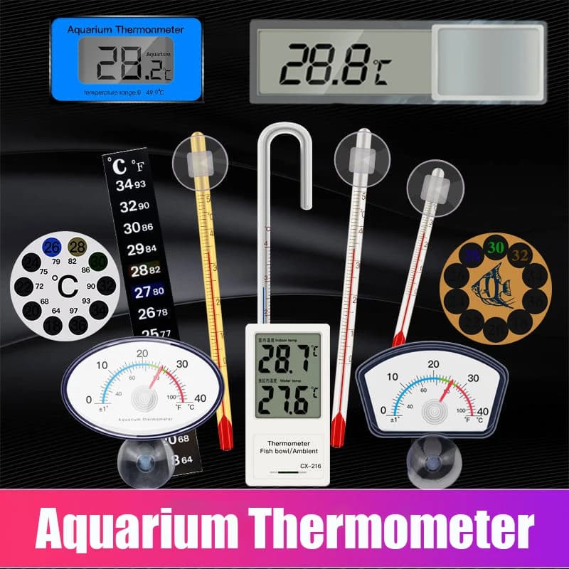 Termometro per acquario Termometro in vetro sommergibile per acquario Accessori per la misurazione della temperatura dell'acqua Ventosa impermeabile
