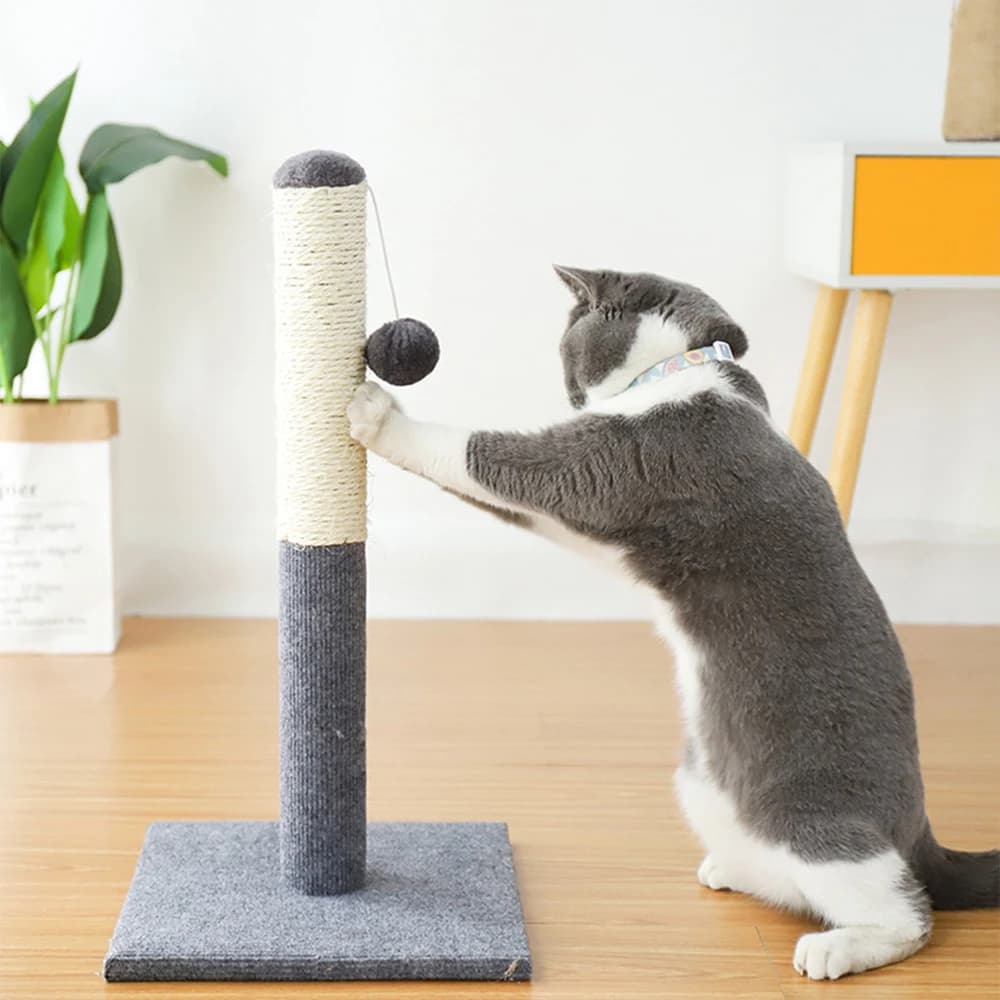 Tiragraffi per gatti Sisal Cat Tree Kitten Claw Grinding Toys mobili per gatti savior Sisal tiragraffi Board Pet Jumping Toy