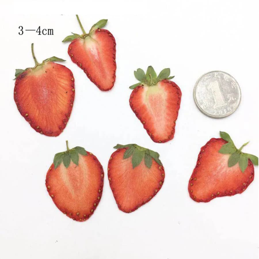 5 pezzi di frutta pressata secca fragola fette di carne pianta erbacario per gioielli cornice per foto cassa del telefono segnalibro fare fai da te