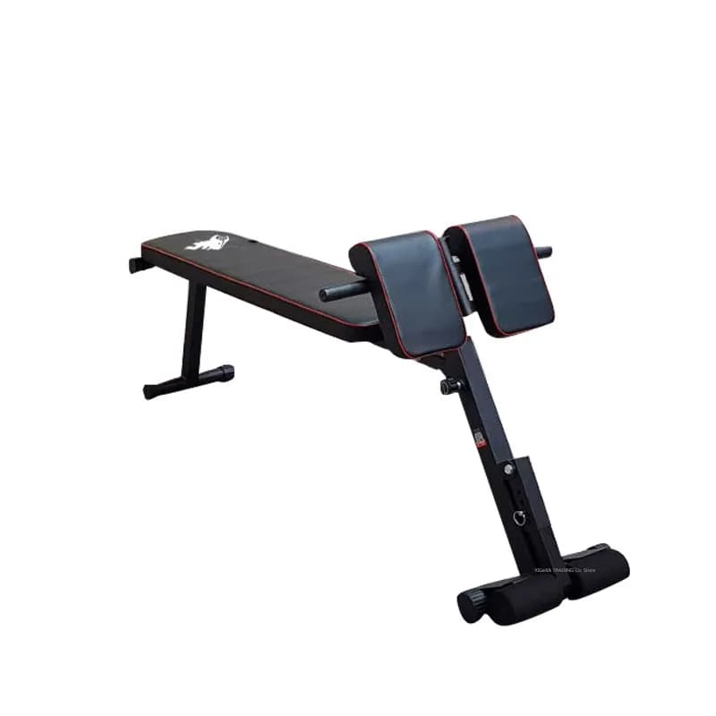 Panca regolabile per palestra domestica Panca con manubri per esercizi inclinati sit up, sedia romana per stazione di allenamento fitness regolabile