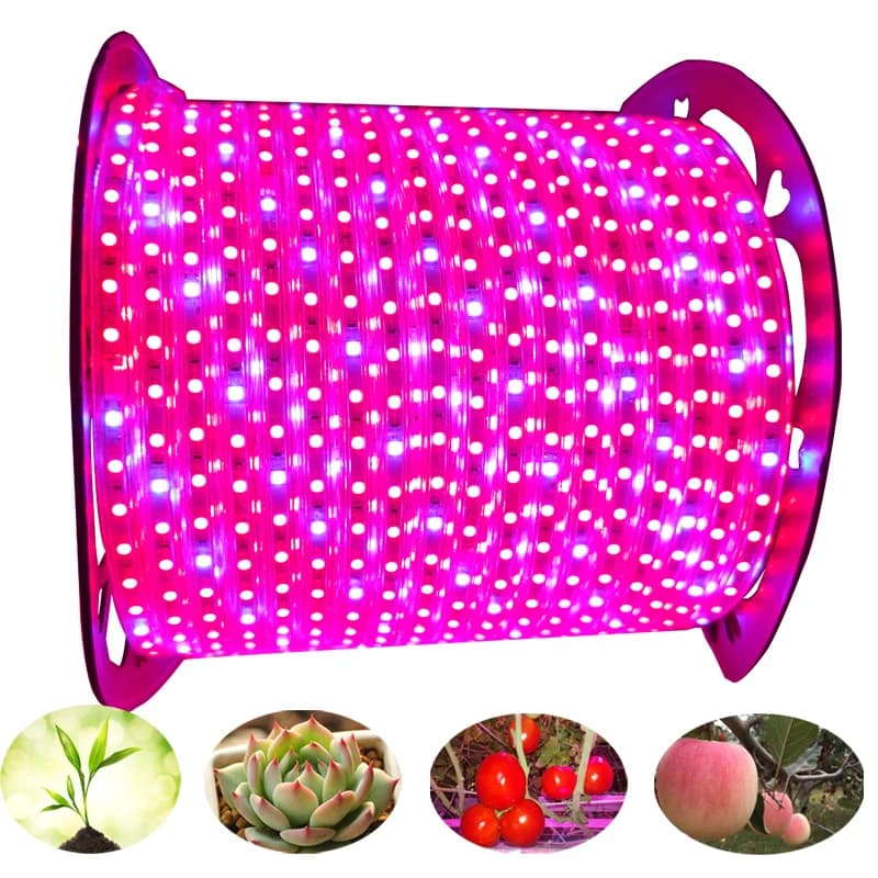 100M 50M LED Plant Cultivation Light Strip Complete IP67 Waterproof AC220V For Hydrop Seme VEG Flower Phyto Lamp