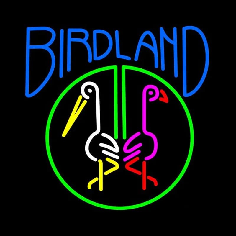 Insegna al neon Tubi di vetro Birdland Lampada da terra di bellezza Birra Bar Lampada da hotel fatta a mano che pubblicizza la luce LOGO personalizzato Luce artistica fatta a mano