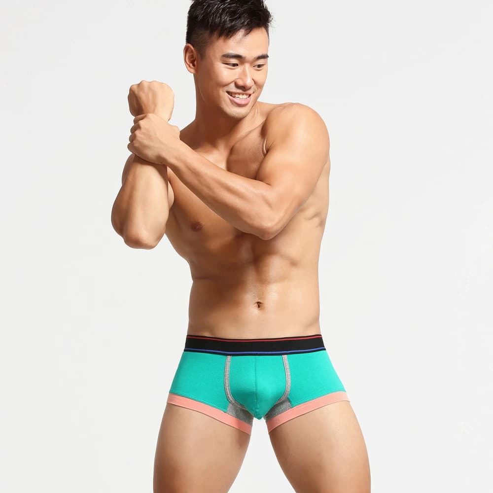 Nuova biancheria intima da boxer sexy da uomo SEOBEAN in cotone a vita bassa