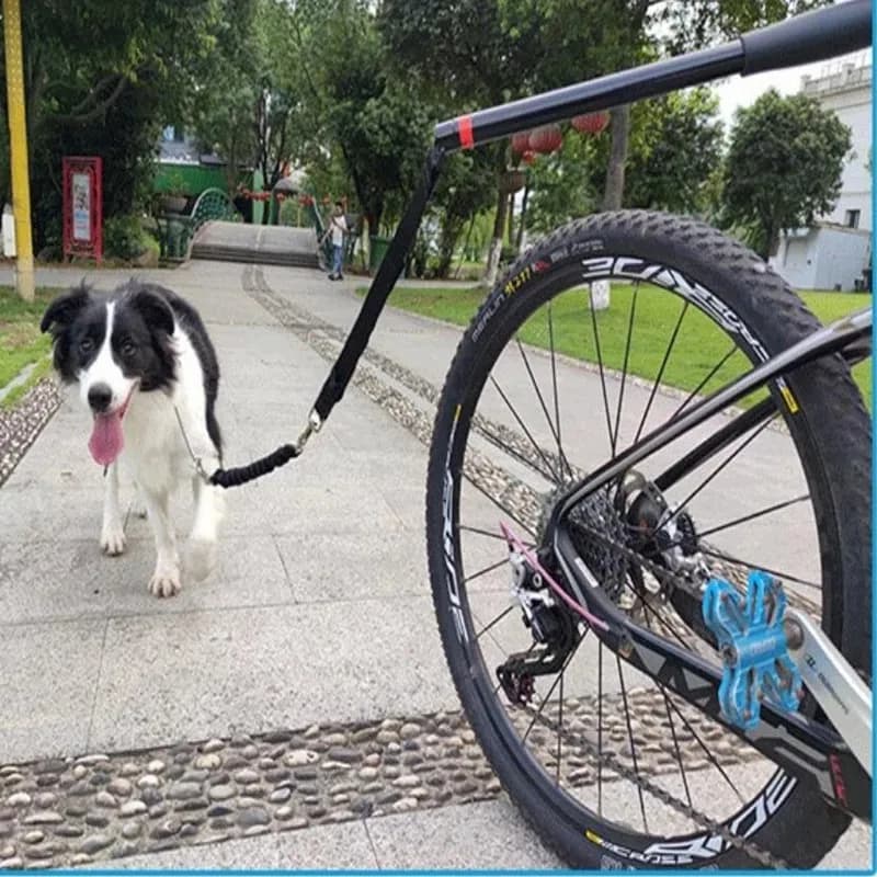 Nylon elastico cane bicicletta trazione cintura corda cane guinzaglio attacco bici Pet passeggiata corsa Jogging distanza custode mani libere animali domestici guinzaglio