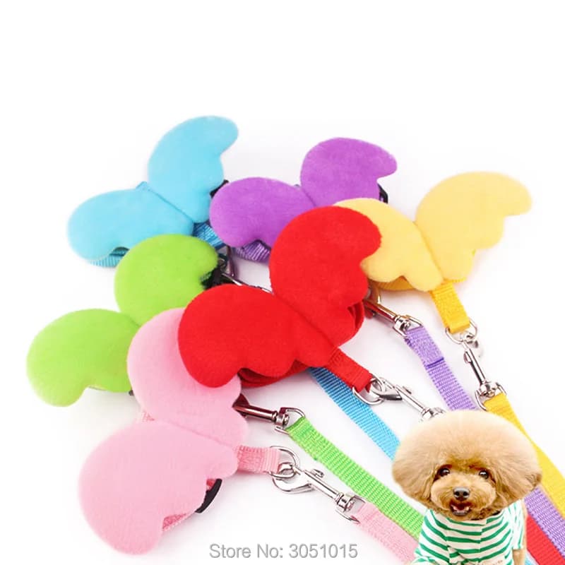Commercio all'ingrosso 20Pcs Cute Angel Pet Dog guinzagli collari Puppy Leads for Small Dogs Cats Designer Wing regolabile Dog Harness Pet id