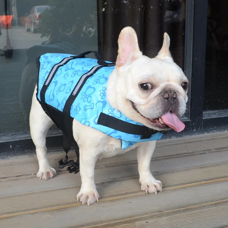 Giubbotto di salvataggio di sicurezza per cani da compagnia abbigliamento da nuoto estate del costume da bagno gita giubbotto di salvataggio confortevole e traspirante