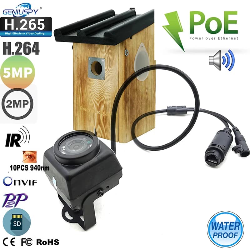 Telecamere POE IP Mini IR per esterni visione notturna IPC telecamera di sicurezza Audio grandangolare per videosorveglianza P2P su gabbia per uccelli Vif