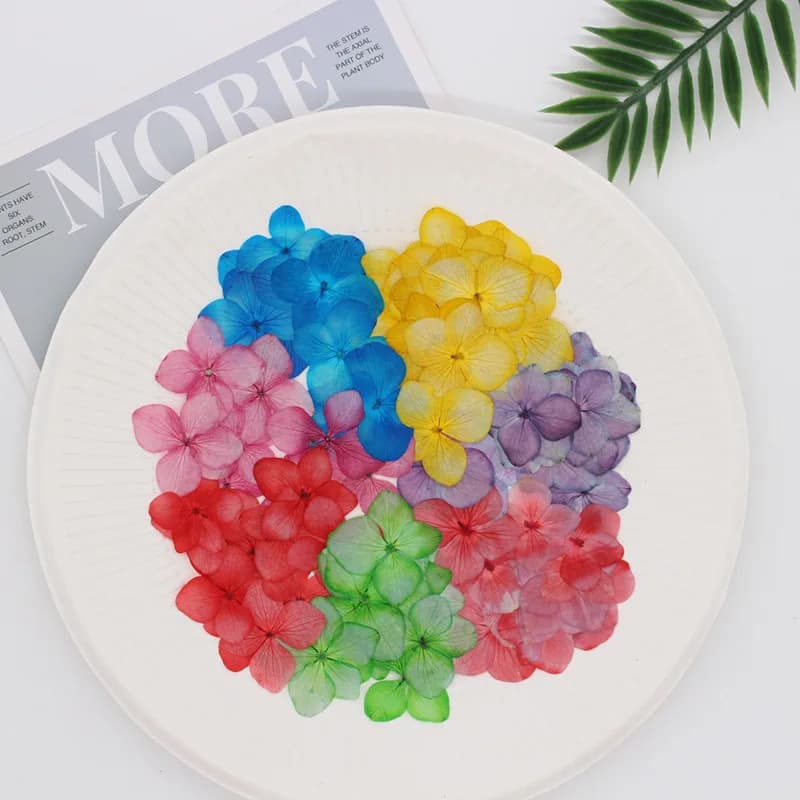 250pcs Pressed Dried Dyeing Hydrangea Flower Herbarium For Epoxy Resin Jewelry Bookmark Phone Case Face Makeup Nail Art DIY