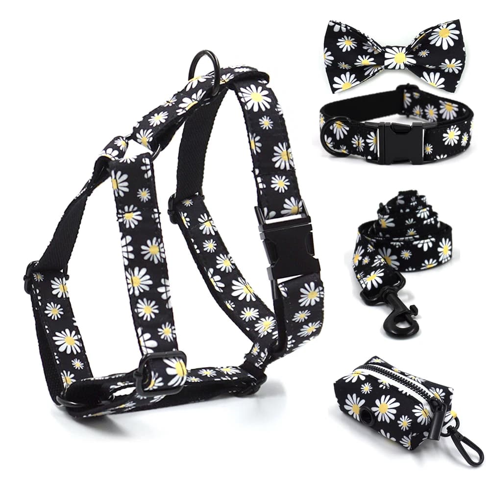 Pettorina personalizzata per cani collare per cani con motivo a margherita con Set di guinzagli per collare con fibbia in metallo nero inciso con nome