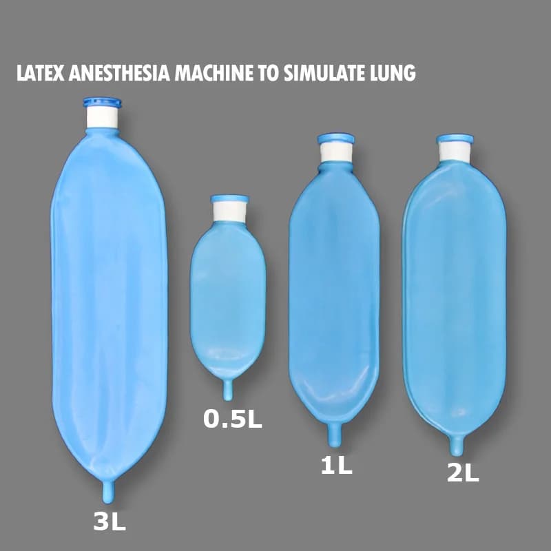 0.5L 1L 2L 3L ventilatore Test simulato polmone materiale in lattice borsa per la respirazione borsa per serbatoio macchina per anestesia respiratore Sac