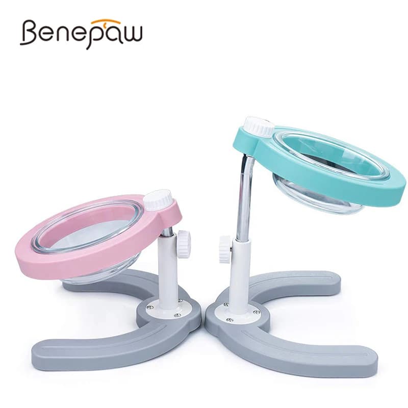 Benepaw ciotole per gatti inclinate in altezza regolabili alimentatore per alimenti per animali domestici rimovibile Non tossico piatto per cuccioli supporto per Base in gomma antiscivolo elevato