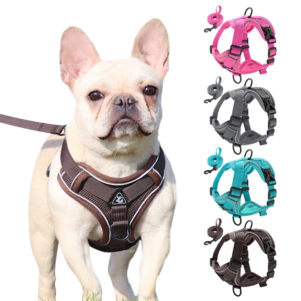 Pettorina e guinzaglio riflettente per cani e gatti Set Pettorina per gilet per cani in nylon a rete con corda di piombo per cani di piccola taglia e media Bulldog Carlino