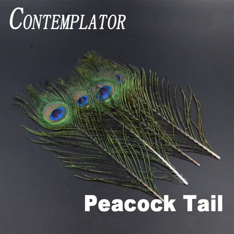 Sublimatore 8 pezzi Full Peacock Tails Fly Tying Feathers per ninfs & streamer corpi e ali Peacock Herls Quills Feathers