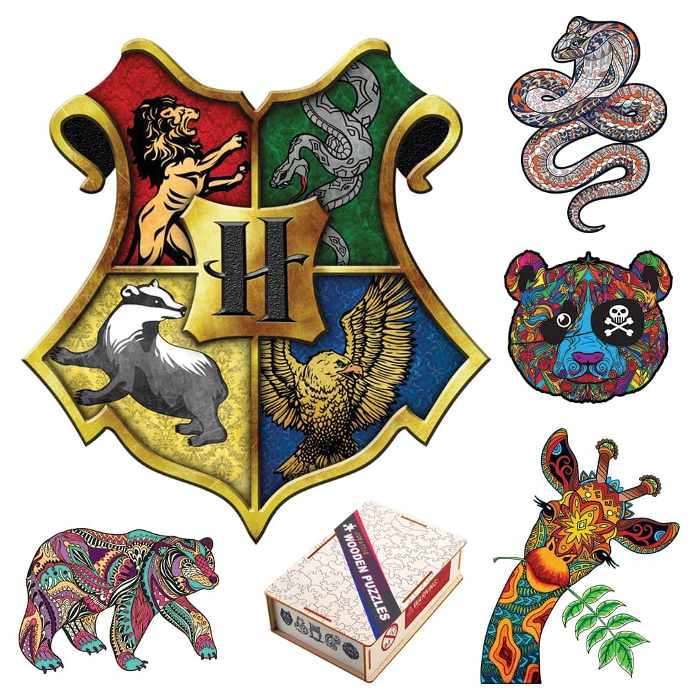 Giocattoli in legno 3D forma di scudo misterioso Puzzle in legno colorato gioco da tavolo per adulti Puzzle per bambini con confezione regalo in legno