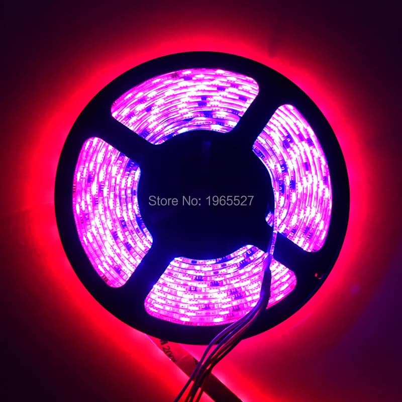 Strisce LED RGB 12V 60 LED/m WS2811 Pixel Light 5050 SMD 20 Pixel/Metro 20 CI 5M Impermeabile IP65 Bianco PCB TV Retroilluminazione