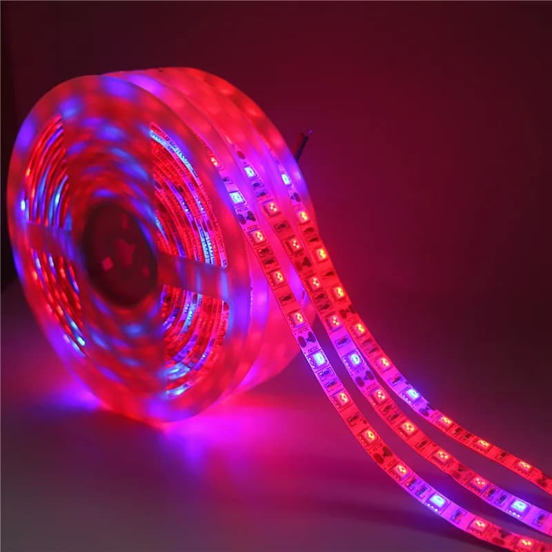 LED Phyto Lampade Luci a intensità SMD 5050 HA CONDOTTO La Striscia DC12V Fiore Crescita Delle Piante Lampade A Luce per la Serra Idroponica Pianta Che Cresce