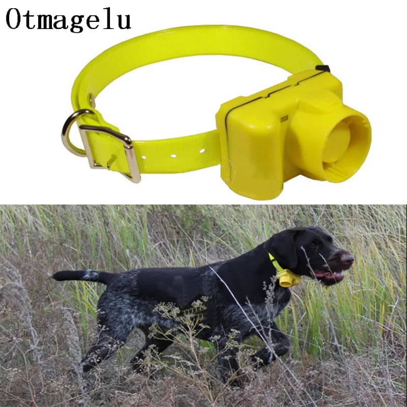 Collare di addestramento per cani ricaricabile con segnale acustico per cani da caccia professionale Attrezzatura per addestramento per cani impermeabile Collare elettrico per animali domestici Beep Clicker