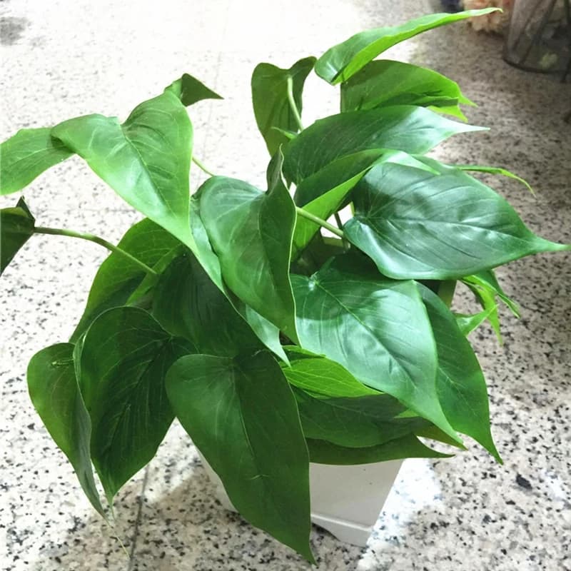 Artificial Calla Leaves of True Tocco Tulip Ravanello External Leaves Waterproof Green Plants