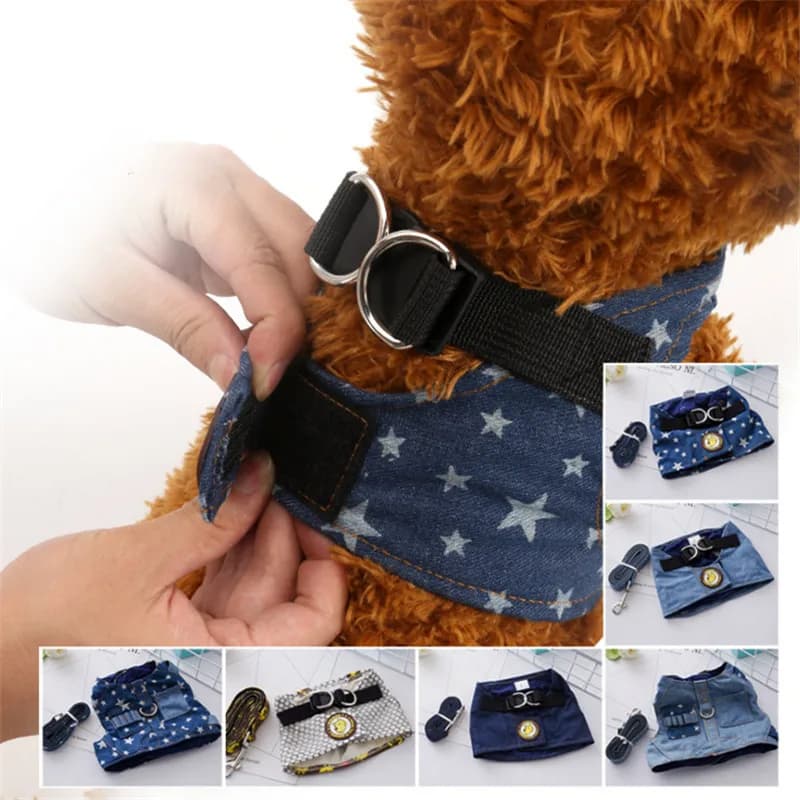 Set di imbracature e guinzagli per cani da compagnia per Chihuahua Pug Small Medium Nylon Mesh Puppy Cat imbracature gilet stampa floreale guinzaglio da passeggio