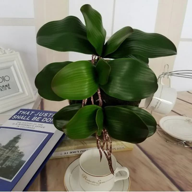 1 Pz real touch phalaenopsis foglia artificiale pianta a foglia fiori decorativi materiale ausiliario decorazione floreale Orchidea foglie