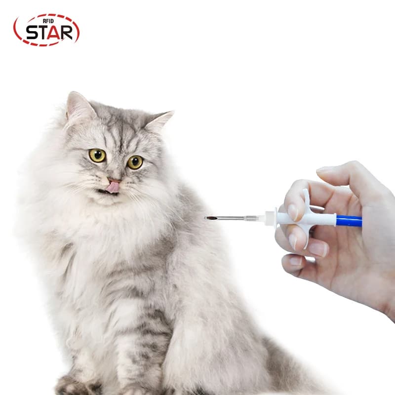 10pcs 2.12*12mm NFC Del Gatto del Cane Pet Microchip 13.56mhz Impiantabile Serpente Pesce Mucca tartaruga del mouse maiale siringa rfid Per L'identificazione