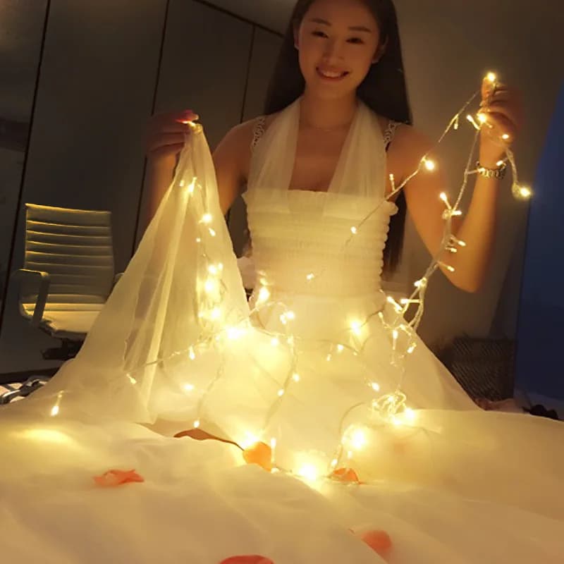 220V 10M 100LED luci a stringa a led luci fiabesche per esterni lampada a led decorazione di nozze