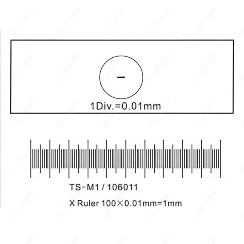 Lamella di calibrazione AmScope per microscopio con telecamera USB, micrometro da 0,01 mm