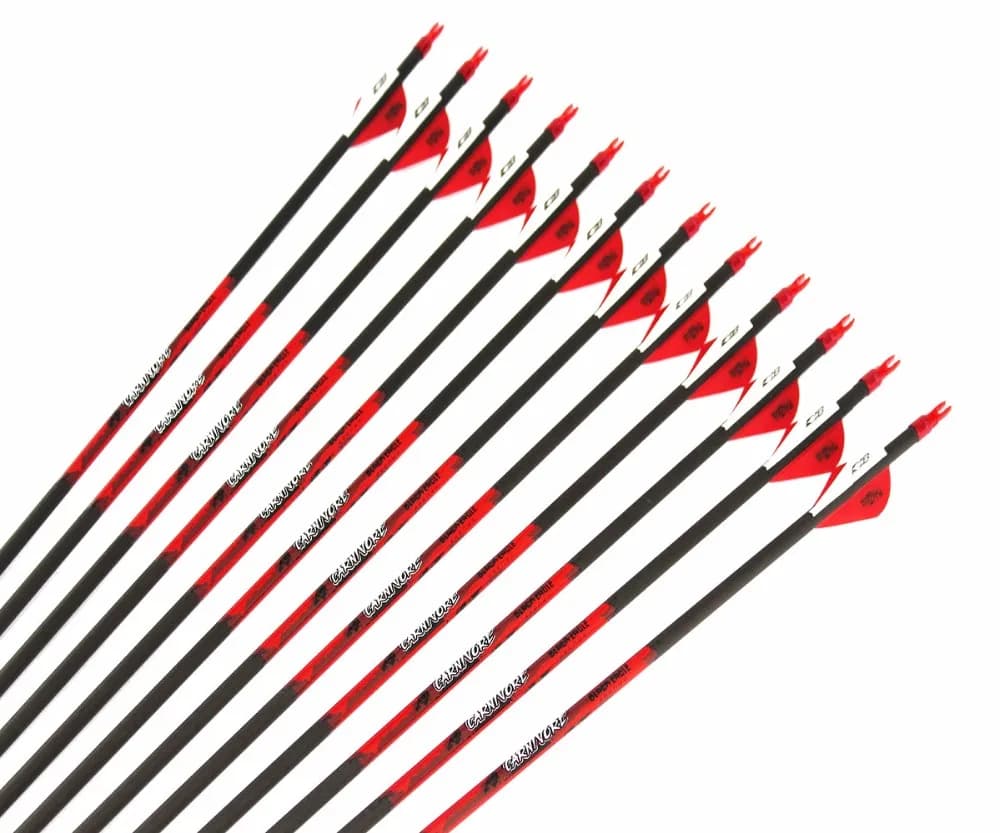 12 Frecce in Carbonio Puro Spine 300-350 ID 6.2mm Alette da 2" 100grain con Punta Sostituibile per Tiro con l'Arco e Caccia con Arco Compound