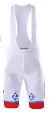 FDJ TEAM Men's Cycling Bicycle Clothing (Bib) Shorts With Gel Pad Ropa Ciclismo