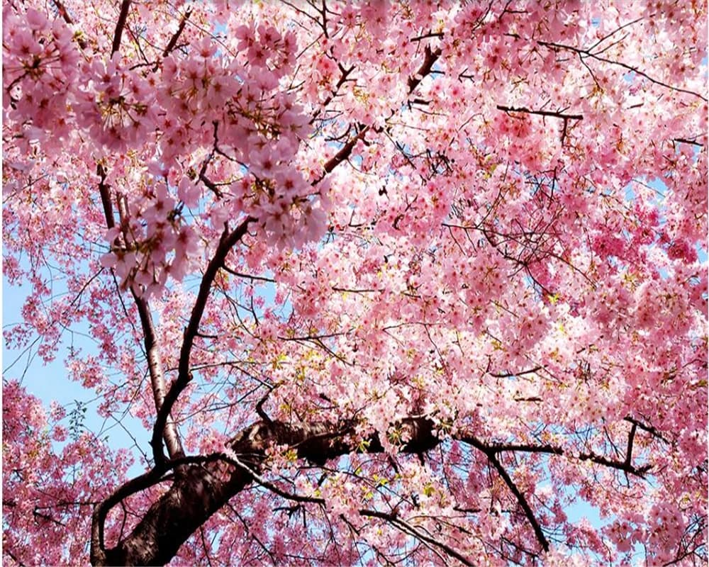 Carta da parati personalizzata Albero di ciliegio sfondo rosa murale decorazione della casa soggiorno camera da letto pittura decorativa foto di carta da parati 3d